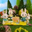 Picture of HONEY BEE ACRES MCSCAMPERS RABBIT FAMILY